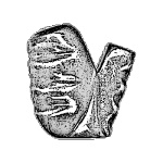 18650